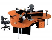 Office Work Station WS:251